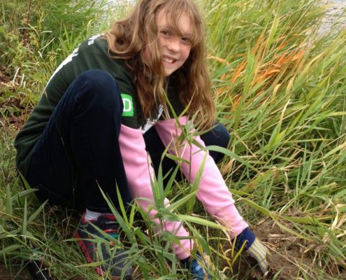 Caring for the Land – “Pitching in to restore Ellis Creek”